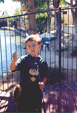 Snfish1.jpg (275942 bytes)