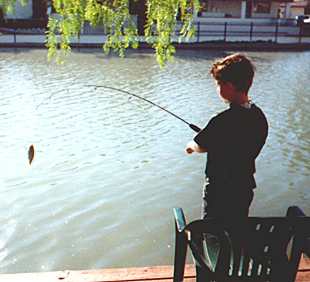 Snfish2.jpg (137837 bytes)