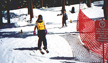 Snski31.jpg (56972 bytes)
