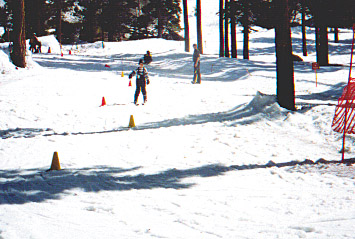 Snski5.jpg (56850 bytes)